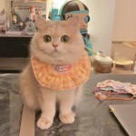宠物碎花时尚休闲款口水巾项圈可调节格子狗狗围兜猫咪用品猫围脖