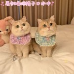 宠物碎花时尚休闲款口水巾项圈可调节格子狗狗围兜猫咪用品猫围脖