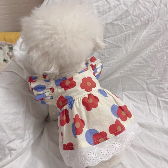 碎花连衣裙宠物服饰马尔济斯博美狗狗衣服猫咪衣服冬可爱ins厂