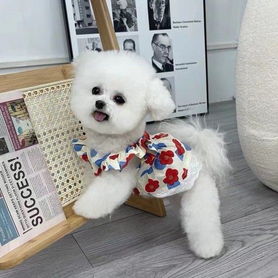 碎花连衣裙宠物服饰马尔济斯博美狗狗衣服猫咪衣服冬可爱ins厂