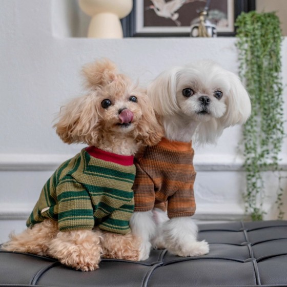 宠物狗狗衣服春秋装薄款泰迪比熊博美马尔济斯小型幼犬条纹两脚衣