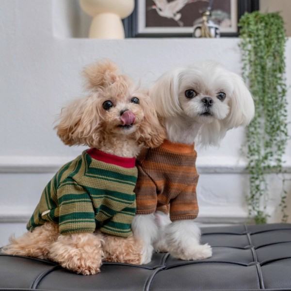 宠物狗狗衣服春秋装薄款泰迪比熊博美马尔济斯小型幼犬条纹两脚衣