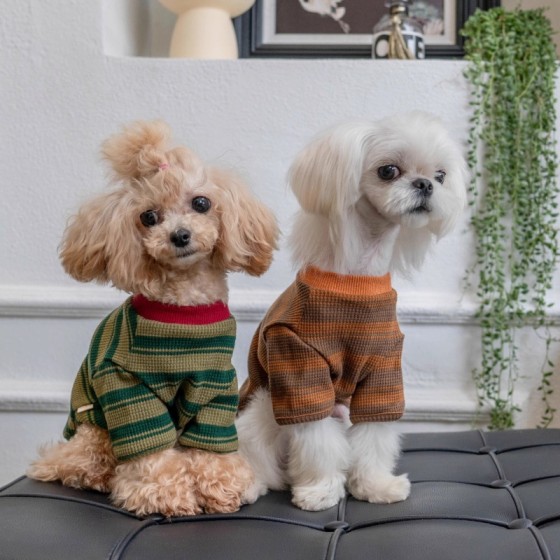 宠物狗狗衣服春秋装薄款泰迪比熊博美马尔济斯小型幼犬条纹两脚衣