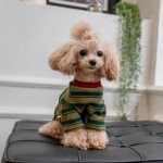 宠物狗狗衣服春秋装薄款泰迪比熊博美马尔济斯小型幼犬条纹两脚衣