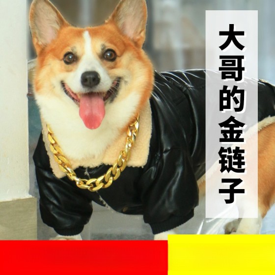 宠物狗狗项圈猫咪金毛拉布拉多黄金项链配饰法斗猫拍照泰迪犬恶霸