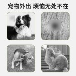 宠物可水洗植物精油项圈带调节扣狗狗颈圈宠物饰品结实耐用猫项圈