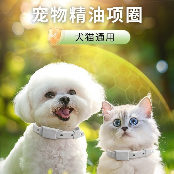 宠物项圈可水洗猫咪项圈带调节扣狗狗颈圈饰品结实耐用猫精油项圈