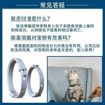 宠物项圈可水洗猫咪项圈带调节扣狗狗颈圈饰品结实耐用猫精油项圈
