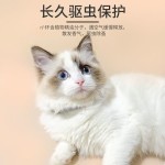 宠物项圈可水洗猫咪项圈带调节扣狗狗颈圈饰品结实耐用猫精油项圈