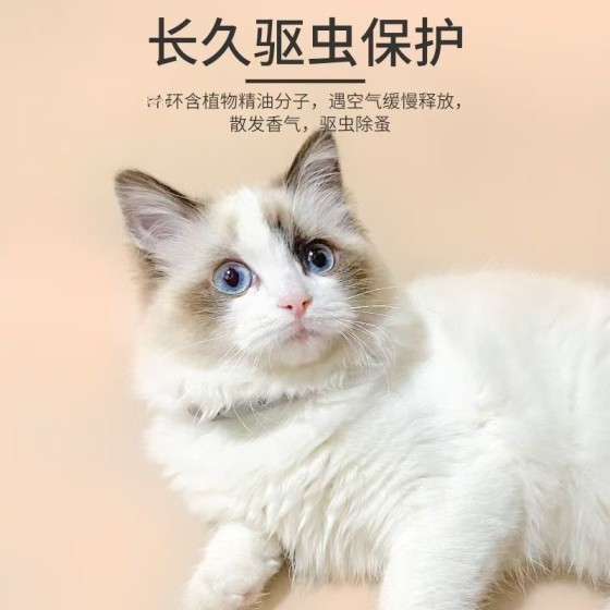 宠物项圈可水洗猫咪项圈带调节扣狗狗颈圈饰品结实耐用猫精油项圈