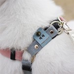 现货宠物挂牌皮质猫狗印字身份牌外出宠物防走丢认领挂牌项圈挂饰