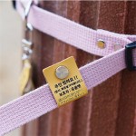 现货宠物挂牌皮质猫狗印字身份牌外出宠物防走丢认领挂牌项圈挂饰