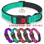 新款宠物项圈泰迪 大中小型犬 柯基脖圈防逃脱锁扣可调节尼龙颈圈