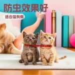 猫咪香樟木项圈狗圈猫圈防跳蚤防虱子螨虫驱蚊宠物除蚤纸盒批发05