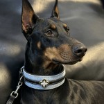 轻奢加宽灵缇狗狗项圈P项圈小中大型犬惠比特杜宾犬脖圈P链牵引绳