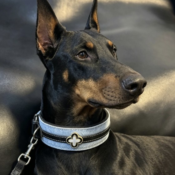 轻奢加宽灵缇狗狗项圈P项圈小中大型犬惠比特杜宾犬脖圈P链牵引绳