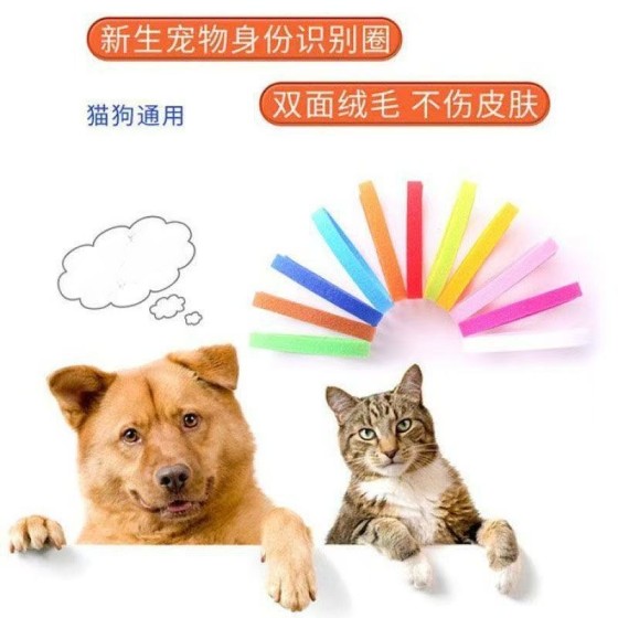 批发现货新生宠物身份识别圈小猫小狗彩色项圈幼犬出生标记记号绳