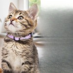 宠物项圈12色猫咪铃铛项链颈圈猫项圈小狗脖圈饰品宠物用品厂家