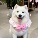 狗狗围兜可爱蝴蝶结可调节围脖项圈小中大型狗猫口水巾发夹萨摩耶
