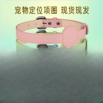 跨境苹果airtag猫咪宠物项圈围脖 PU定位防丟狗追踪项圈 宠物用品