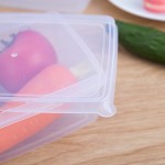 食品收纳盒塑料保鲜盒长方形迷你冰箱冷冻带盖密封储物盒批发