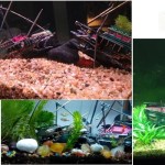 海马气动鱼缸装饰品水族箱造景套餐增氧玩具深海烂船沉船