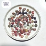 天然海螺贝壳按斤卖小海星寄居蟹替换壳鱼缸造景漂流瓶手工画材料