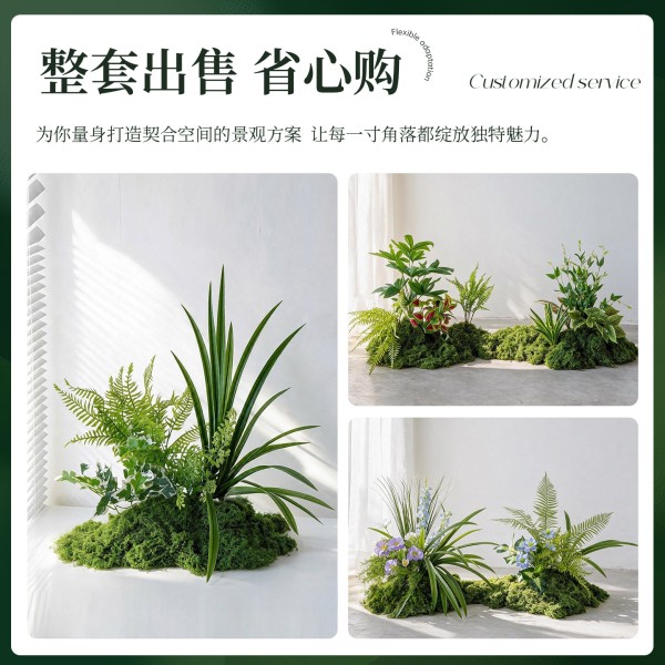 仿真造景绿色蕨类植物高档装饰室内庭院景观氛围感摆件小型假绿植