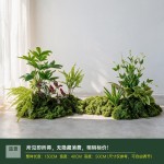 仿真造景绿色蕨类植物高档装饰室内庭院景观氛围感摆件小型假绿植