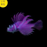 鱼缸造景装饰品夜光仿真狮子鱼景观水族仿真荧光水母硅胶仿真鱼