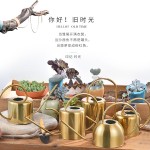 园林植物复古洒水壶 大容量不锈钢淋花喷壶 金属浇花水壶家用长嘴
