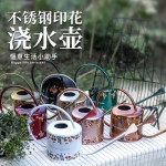 园林植物复古洒水壶 大容量不锈钢淋花喷壶 金属浇花水壶家用长嘴