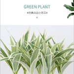跨境仿真吊兰草装饰植物假花绿植门头墙面造景插花配材单支吊兰草