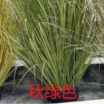 仿真芦苇洋葱草批发酒店婚庆造景假绿植人造植物摄影装饰场景道具