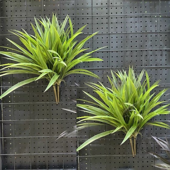 吊兰草 兰花草植物墙兰花叶仿真蕨类叶水草塑料园林装饰仿真吊兰