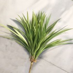 吊兰草 兰花草植物墙兰花叶仿真蕨类叶水草塑料园林装饰仿真吊兰