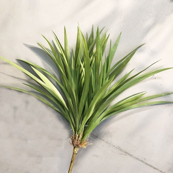 吊兰草 兰花草植物墙兰花叶仿真蕨类叶水草塑料园林装饰仿真吊兰
