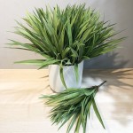 吊兰草 兰花草植物墙兰花叶仿真蕨类叶水草塑料园林装饰仿真吊兰