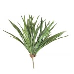 吊兰草 兰花草植物墙兰花叶仿真蕨类叶水草塑料园林装饰仿真吊兰