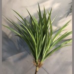 吊兰草 兰花草植物墙兰花叶仿真蕨类叶水草塑料园林装饰仿真吊兰