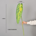 仿真叶片蔓绿绒彩芋叶火鹤叶水晶花烛客厅家居植物墙绿植造景装饰