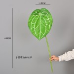 仿真叶片蔓绿绒彩芋叶火鹤叶水晶花烛客厅家居植物墙绿植造景装饰