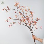 仿真平面蔷薇果山归来野果侘寂风仿真花酒店家居造景装饰腾蛇果