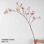 仿真平面蔷薇果山归来野果侘寂风仿真花酒店家居造景装饰腾蛇果