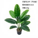 跨境热销旅人蕉仿真绿植芭蕉叶万年青北欧风家居落地装饰造景