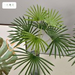 仿真植物金山棕竹榈树扇葵蒲葵树室内客绿植造景装饰落地摆件假树
