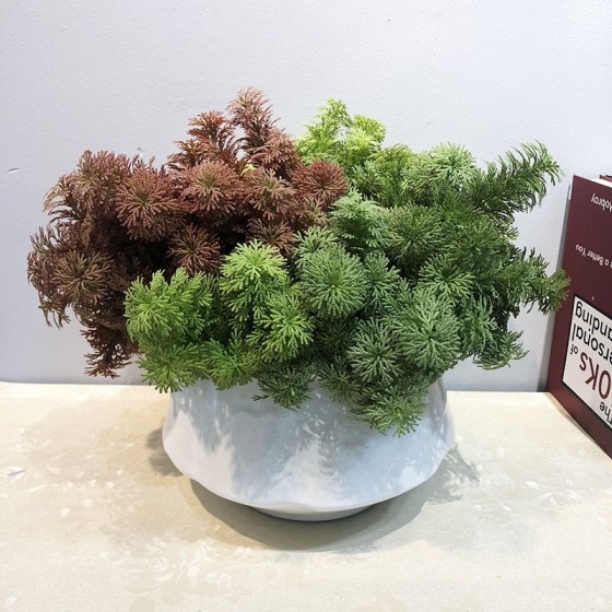 仿真松草 植物背景墙绿家居装饰婚庆道具塑料水草园林造景毛松草