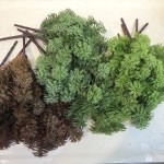 仿真松草 植物背景墙绿家居装饰婚庆道具塑料水草园林造景毛松草