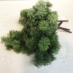 仿真松草 植物背景墙绿家居装饰婚庆道具塑料水草园林造景毛松草