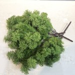 仿真松草 植物背景墙绿家居装饰婚庆道具塑料水草园林造景毛松草